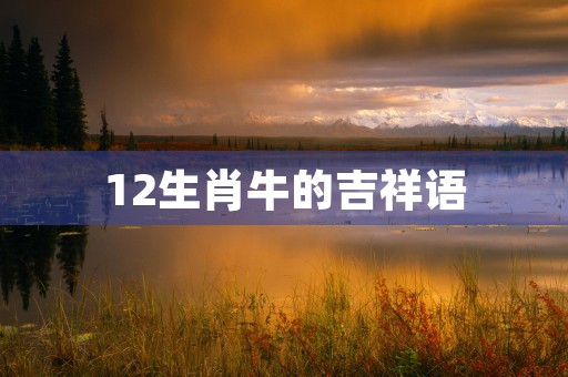 狮子座2023年运势，事业飞速发展爱情甜蜜满溢快来看看你会遇到哪些幸运之星