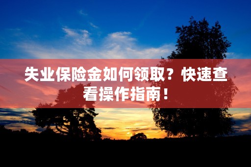 失业保险金如何领取？快速查看操作指南！