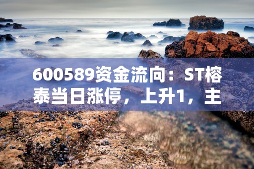 600589资金流向：ST榕泰当日涨停，上升1，主力资金净流入178.33万元，600712资金