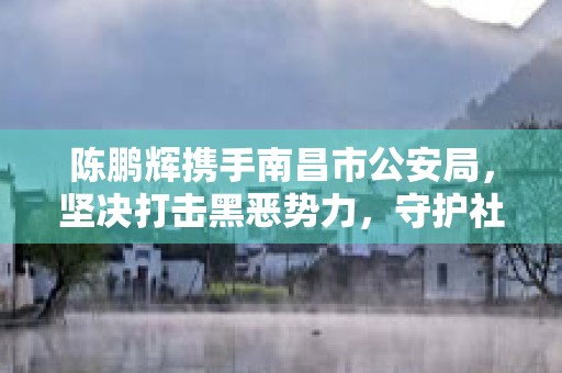 陈鹏辉携手南昌市公安局，坚决打击黑恶势力，守护社会安宁，陈鹏辉 江西