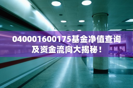 040001600175基金净值查询及资金流向大揭秘！