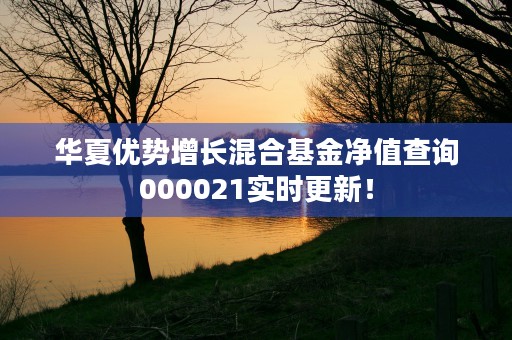 华夏优势增长混合基金净值查询000021实时更新！