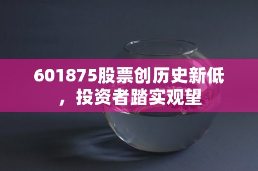 601875股票创历史新低，投资者踏实观望