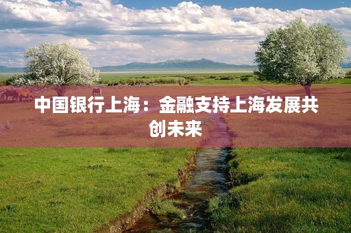 中国银行上海：金融支持上海发展共创未来