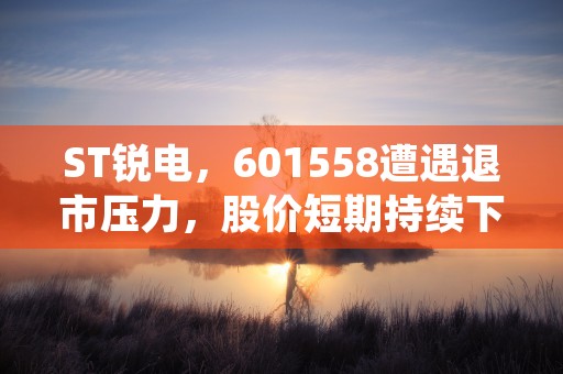 福建水泥股吧今日探讨：独家内幕与投资趋势揭秘！