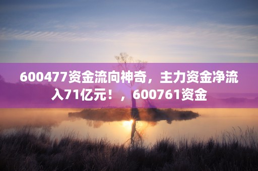 600477资金流向神奇，主力资金净流入71亿元！，600761资金