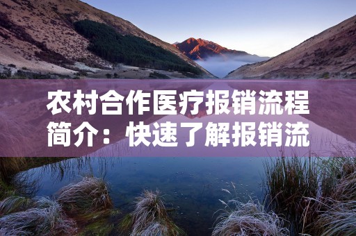 农村合作医疗报销流程简介：快速了解报销流程