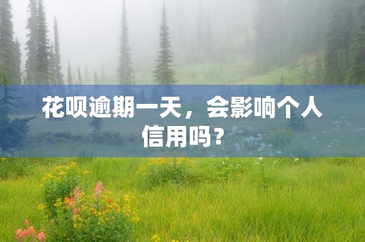 花呗逾期一天，会影响个人信用吗？