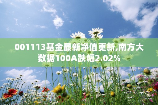 001113基金最新净值更新,南方大数据100A跌幅2.02%