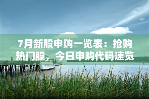 7月新股申购一览表：抢购热门股，今日申购代码速览