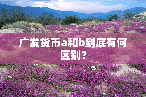 广发货币a和b到底有何区别？