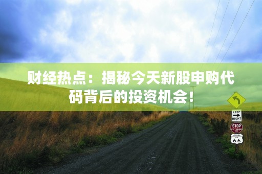 财经热点：揭秘今天新股申购代码背后的投资机会！