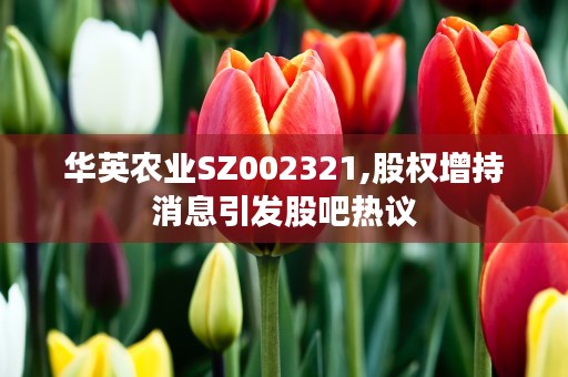 多头与空头：股票市场中两股不同力量的对决！