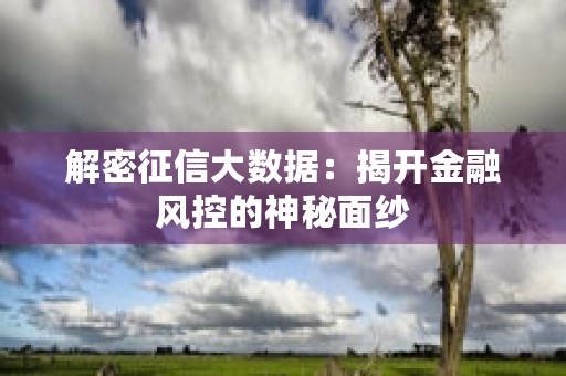 解密征信大数据：揭开金融风控的神秘面纱