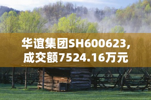 华谊集团SH600623,成交额7524.16万元