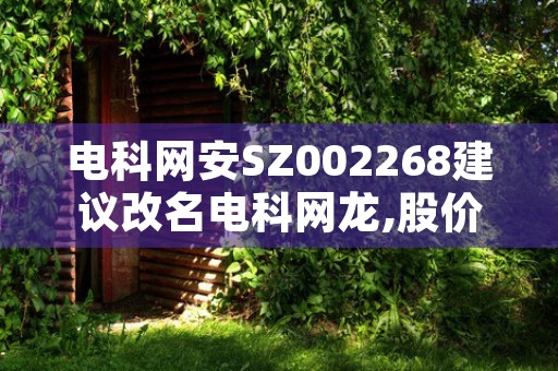 电科网安SZ002268建议改名电科网龙,股价波动数据分析