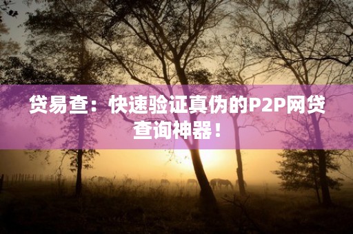 贷易查：快速验证真伪的P2P网贷查询神器！