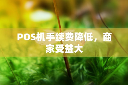 POS机手续费降低，商家受益大