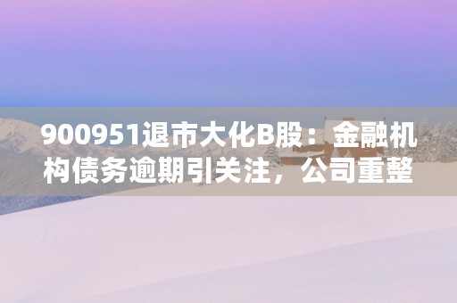 900951退市大化B股：金融机构债务逾期引关注，公司重整进展待观察！