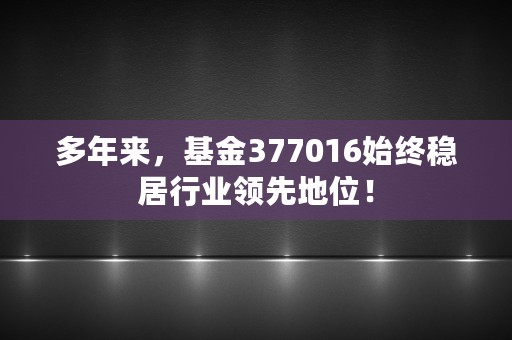 多年来，基金377016始终稳居行业领先地位！