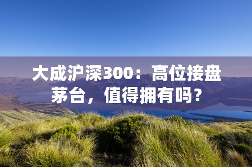 大成沪深300：高位接盘茅台，值得拥有吗？