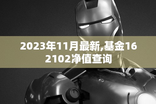 2023年11月最新,基金162102净值查询