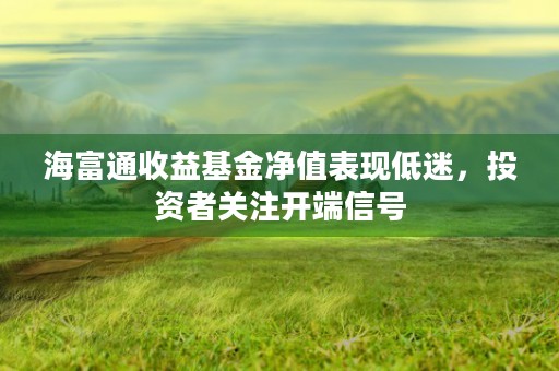 海富通收益基金净值表现低迷，投资者关注开端信号