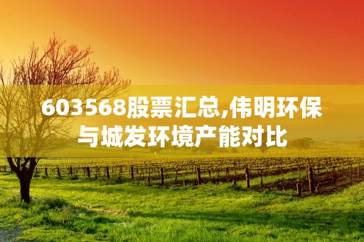 603568股票汇总,伟明环保与城发环境产能对比