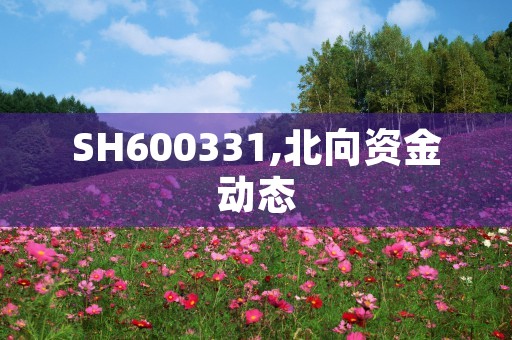 SH600331,北向资金动态