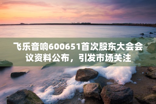 飞乐音响600651首次股东大会会议资料公布，引发市场关注