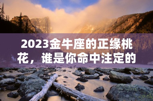 双子座和金牛座是不是相克，解析两个星座的性格冲突与互补之道