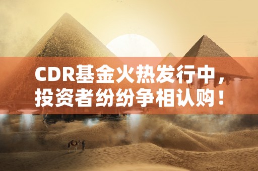 CDR基金火热发行中，投资者纷纷争相认购！