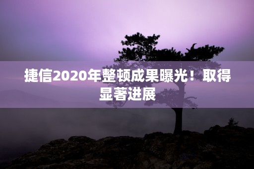 捷信2020年整顿成果曝光！取得显著进展