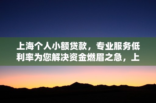 上海个人小额贷款，专业服务低利率为您解决资金燃眉之急，上海小额贷款公司名单