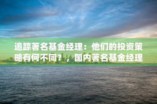 追踪著名基金经理：他们的投资策略有何不同？，国内著名基金经理人