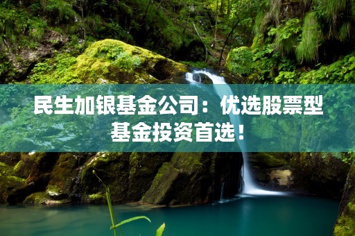 民生加银基金公司：优选股票型基金投资首选！