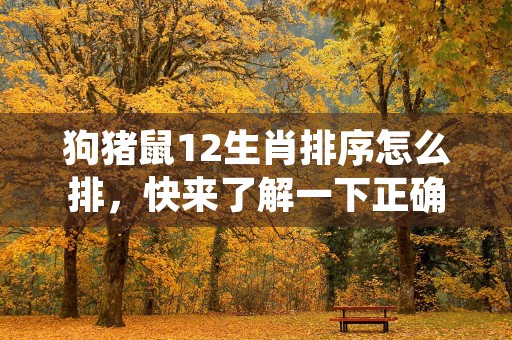 12生肖运势2017，看看哪个属相会在这一年大放异彩