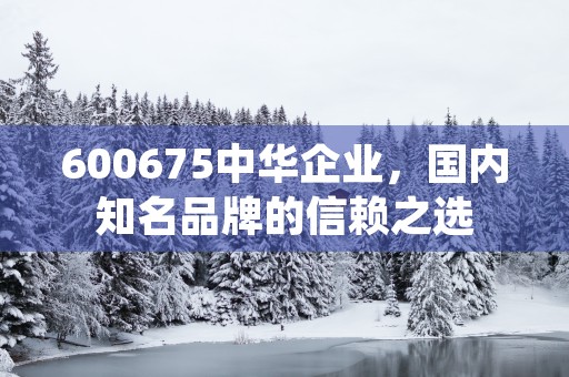 600675中华企业，国内知名品牌的信赖之选