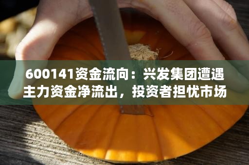 600141资金流向：兴发集团遭遇主力资金净流出，投资者担忧市场风险增加！