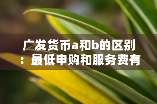 广发货币a和b的区别：最低申购和服务费有何不同？，广发天天红货币