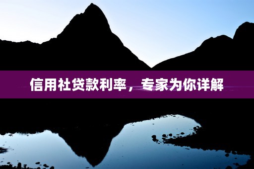 信用社贷款利率，专家为你详解