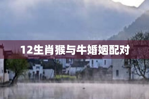 彩色面粉12生肖兔，别致又美味