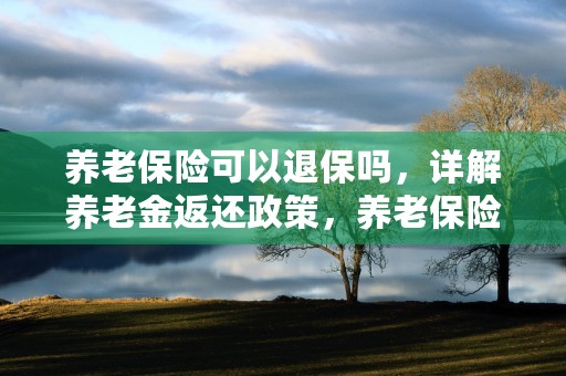 养老保险可以退保吗，详解养老金返还政策，养老保险可以退保退费吗