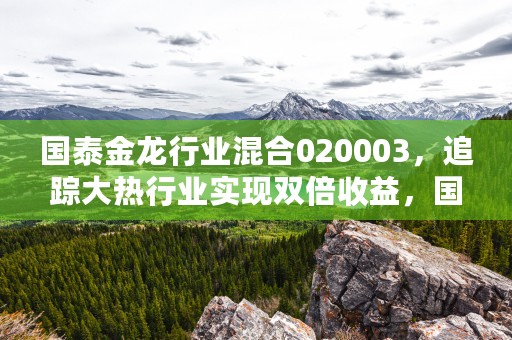 国泰金龙行业混合020003，追踪大热行业实现双倍收益，国泰金龙行业混合今日估值