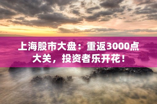 上海股市大盘：重返3000点大关，投资者乐开花！