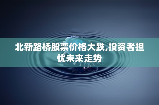 福建高速600033,未来可期的纯收入