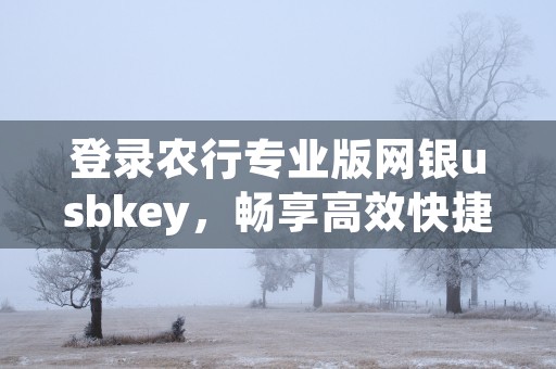 登录农行专业版网银usbkey，畅享高效快捷的金融操作！