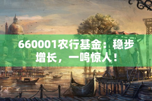 660001农行基金：稳步增长，一鸣惊人！