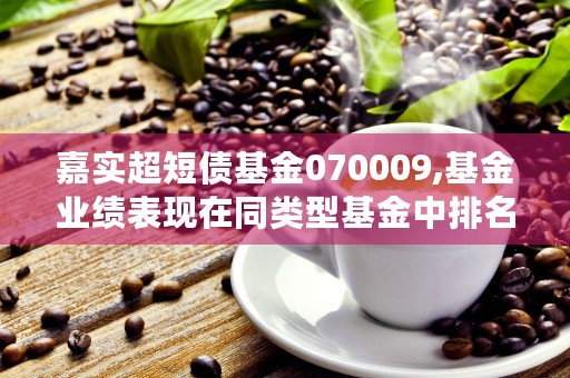 嘉实超短债基金070009,基金业绩表现在同类型基金中排名前65%