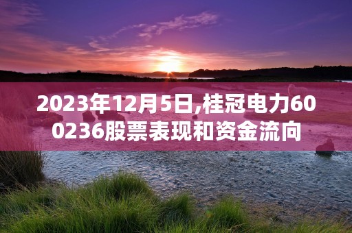 2023年12月5日,桂冠电力600236股票表现和资金流向